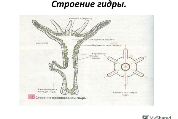 Как зайти на кракен в тор браузере