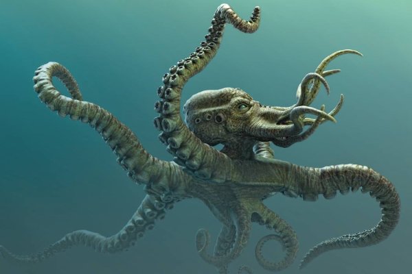 Kraken ссылка тг