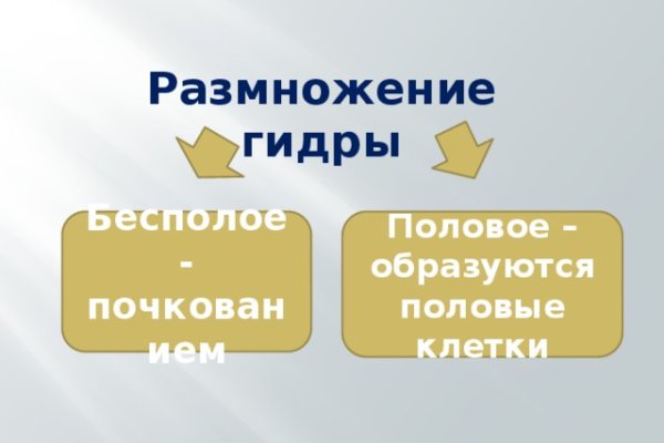 Кракен шоп что это